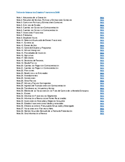 Notas Explicativas a los Estados Financieros 2019