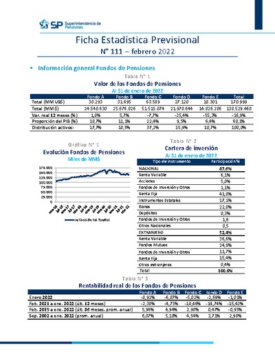 Ficha Estadística Previsional N° 111, febrero 2022