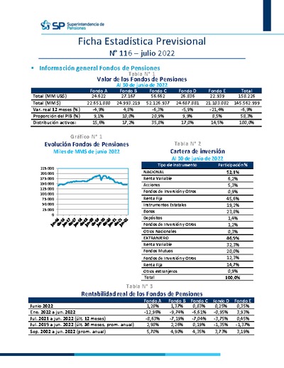 Ficha Estadística Previsional N° 116, julio 2022