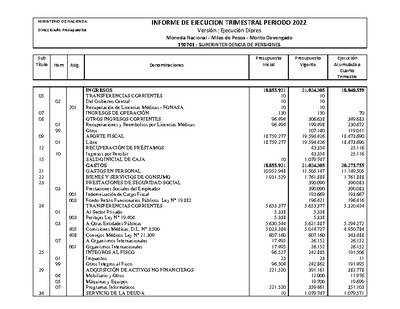 Informe Ejecución Presupuestaria año 2022