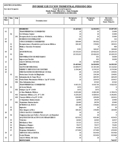 Informe Ejecución Presupuestaria año 2024