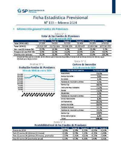 Ficha Estadística Previsional N° 135, febrero 2024