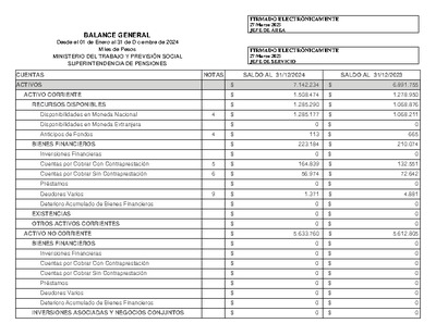 Balance General de la Superintendencia de Pensiones, al 31 de diciembre de 2024.