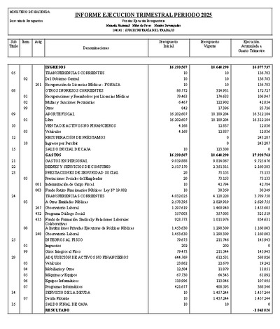 Informe Ejecución Presupuestaria año 2025